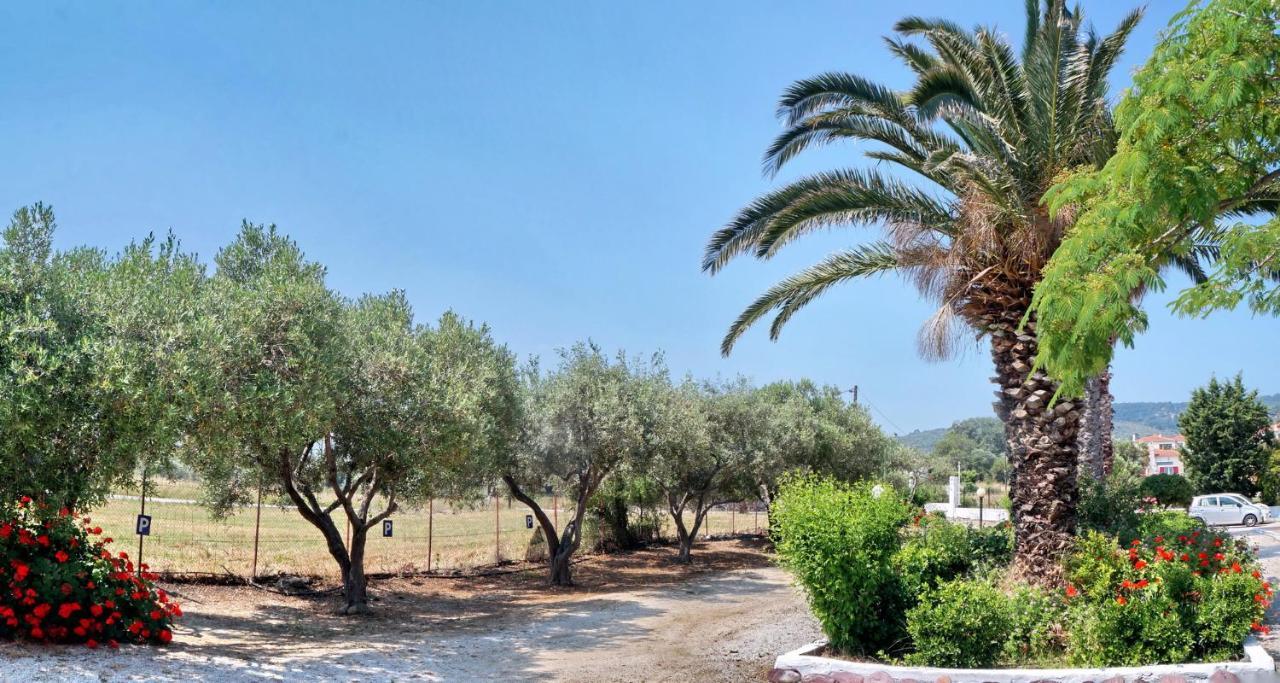 Στούντιο Ηλιάτορας Διαμέρισμα Λουτρόπολη Θέρμης Εξωτερικό φωτογραφία